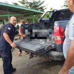Crocodile Attack Turns Fatal as Kinabatangan Villagers Discover Victim’s Body